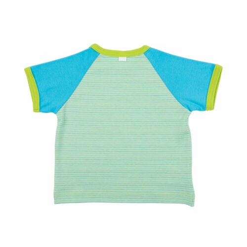 pagabei_bio_baby_tshirt_kurzgarm_gesterift_lagune_feinbunt_R